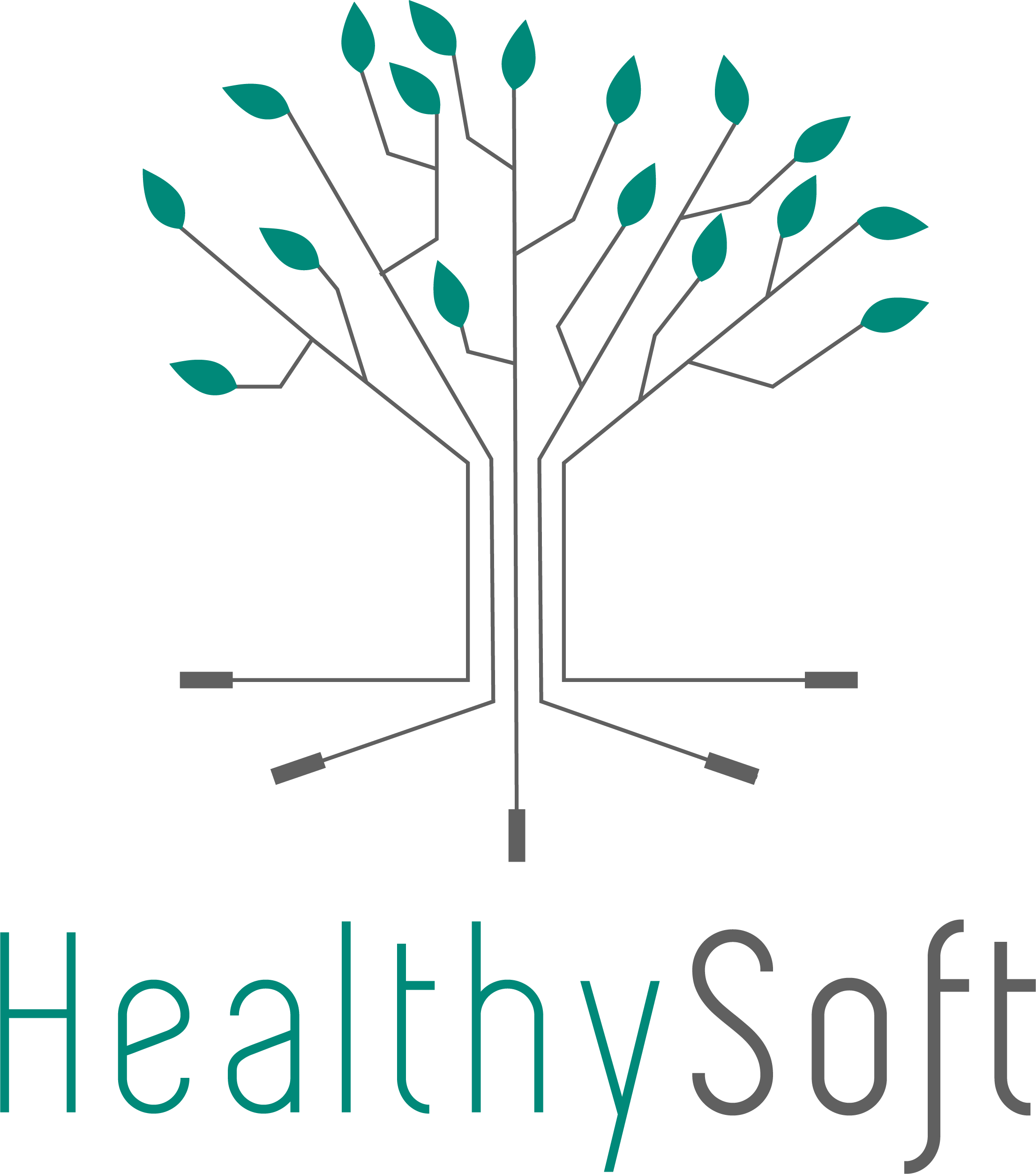 Logo HealthySoft